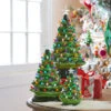 Raz 8", 13", Or 17" Battery Operated Lighted Green Ceramic Christmas Tree -The Jolly Christmas Shop 4219168 edit 71630.1649166522