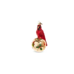 Raz Eric Cortina 5" Elegant Cardinal Glass Christmas Ornament 4353115 8 Raz Eric Cortina 5" Elegant Cardinal Glass Christmas Ornament 4353115 -The Jolly Christmas Shop 4353115b 39734.1689693000