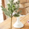 Raz 20" Iced Pine Christmas Tree Pick F4206751 -The Jolly Christmas Shop F4206751 04827.1685978119