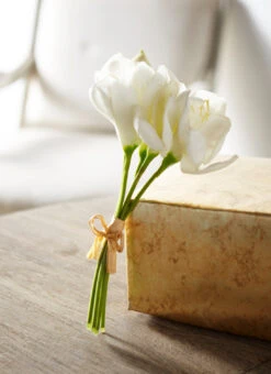 Raz 12" Real Touch White Amaryllis Bundle F4302310