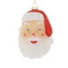 Cody Foster 3.25" Santa Face Blow Mold Glass Christmas Ornament GO-8877 -The Jolly Christmas Shop GO 8877 69103.1692207166
