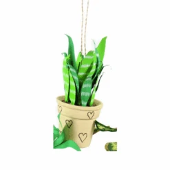Cody Foster 4.5" Pothos, Snakeplant, Or Fern Christmas Ornament PO-2079 -The Jolly Christmas Shop PO 2079B 22502.1691524876