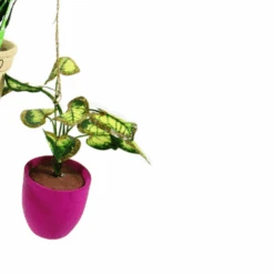 Cody Foster 4.5" Pothos, Snakeplant, Or Fern Christmas Ornament PO-2079 -The Jolly Christmas Shop PO 2079C 54197.1691524977