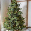 Raz 7.5' Forever Lit Green Big Sky Spruce Christmas Tree T4352009 2 Raz 7.5' Forever Lit Green Big Sky Spruce Christmas Tree T4352009 -The Jolly Christmas Shop T4352009 37639.1686668708