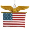 Hallmark American Flag Christmas Ornament 1HGO2786 -The Jolly Christmas Shop apinbzbtd 88342.1646091860