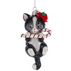 Kurt Adler 5" Noble Gems Cat With Candy Cane Glass Christmas Ornament NB1668 10 Kurt Adler 5" Noble Gems Cat With Candy Cane Glass Christmas Ornament NB1668 -The Jolly Christmas Shop apir9binx 48604.1646094767