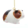 Kurt Adler 3" Noble Gems Guinea Pig Glass Christmas Ornament NB1632 -The Jolly Christmas Shop apiurkal3 19167.1646091905