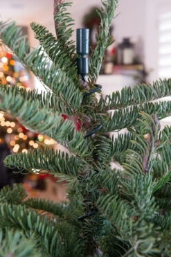 Village Lighting Universal Christmas Tree Topper Holder V-11103 11 Village Lighting Universal Christmas Tree Topper Holder V-11103 -The Jolly Christmas Shop apiylnmow 47410.1646091960