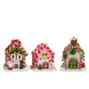 Kurt Adler Set Of 3 Battery Operated Lighted Claydough Gingerbread Candy House Christmas Ornament D4107 2 Kurt Adler Set Of 3 Battery Operated Lighted Claydough Gingerbread Candy House Christmas Ornament D4107 -The Jolly Christmas Shop d4107 83762.1653329771